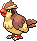 Pidgey
