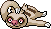Slakoth