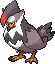Staraptor