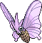 Venomoth