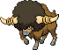 Bouffalant
