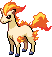 Ponyta